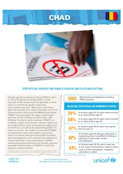 UNICEF Profile: FGM in Chad (2013)